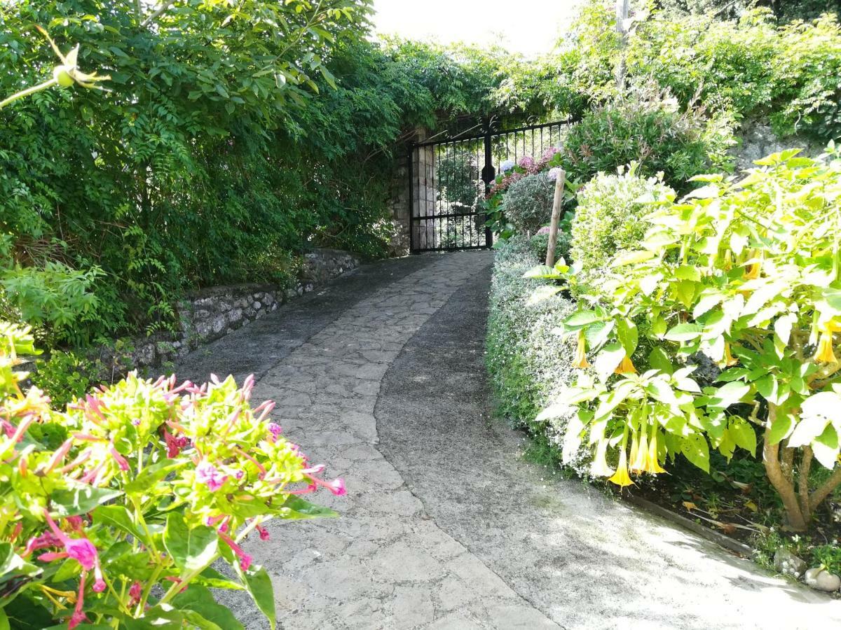 Casa Nueva Carmen Konuk evi Pendueles Dış mekan fotoğraf